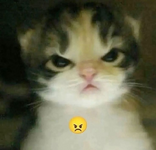 1751213062999.png