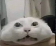 1751369226908.png 1751369226908.png