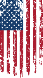 USA_Flag_vertical_distress_full_color.png