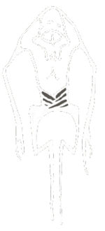 1752239966945.png