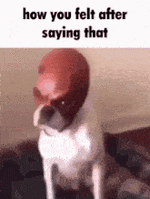 image.gif