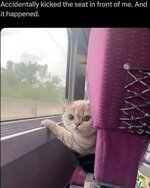 IMG_0014.jpeg