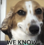1753974068744.png