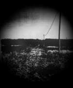 1754076131116.png