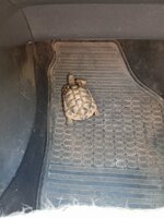 IMG_20250814_084917.jpg