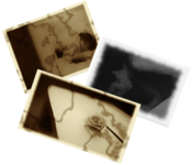 collage1.png