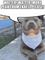 1755811305978.png