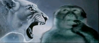 Screenshot_20250827-194204.png