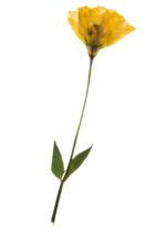 1756792120039.png 1756792120039.png
