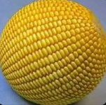 1757416963522.png 1757416963522.png