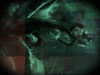 234719.gif