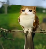 1758068550187.png 1758068550187.png