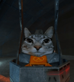 Captura.PNG