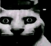 IMG_8373.jpeg