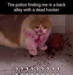 1758936467668.png