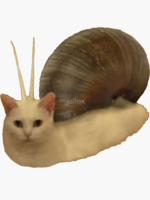 bgf8f8f8-flat750x075f-pad750x1000f8f8f8.png