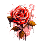 1760263231852.png 1760263231852.png