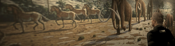 levi weaver.png