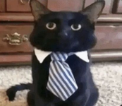 1761351975452.png 1761351975452.png