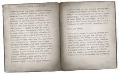 First Page.png