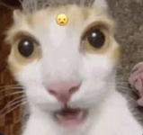 1762740606081.png
