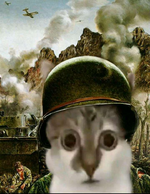 1762895883942.png