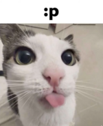blurp.png