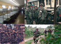 Collage.jpg