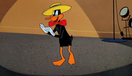 look-at-me.gif