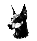 Adobe Express - file (2).png