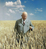 1765158119179.png