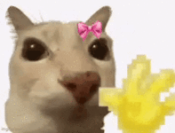 cat-bye.gif