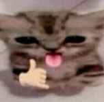1769179513837.png 1769179513837.png