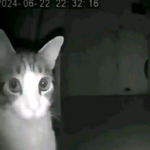 1769195893504.png
