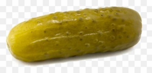 1769276656299.png
