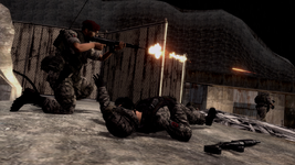 ccrrifle.webp