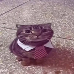 1772562952330.png