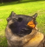 1772894036624.png