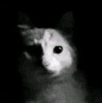 1773859133134.png