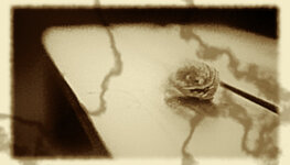 photograph2.jpg