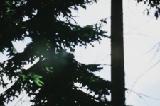 IMG_0008.png IMG_0008.png