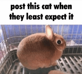 1781037036320.png 1781037036320.png