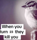 When you turn 23 they.png