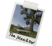 meadow_4.png