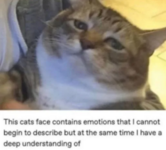 1784722704868.png