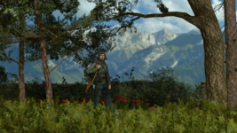 Wandering 2.png
