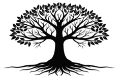 1785460765965.png