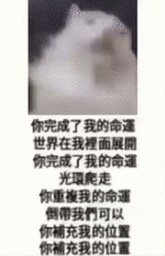 BI3gifN6.gif