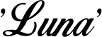 1789663188963.png 1789663188963.png