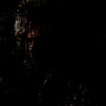 New Project (3).png